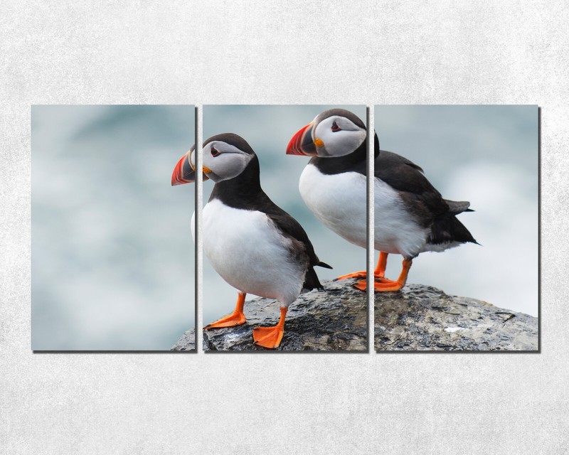 Atlantic puffins pair of exotic bird 3 Piece Panel aluminum metal print. pillows