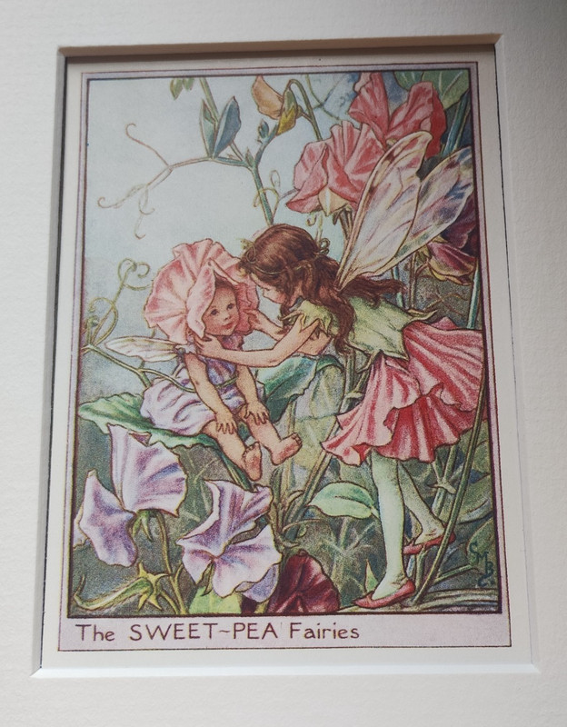 Sweet Pea Fairies Vintage Flower Fairies Print & Mount Cicely Mary Barker c1930s