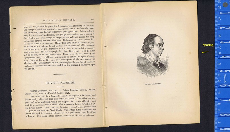 Oliver Goldsmith, Irish Novelist – 1887 Portrait Print