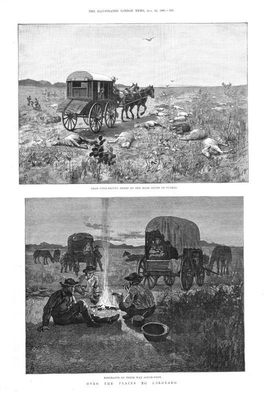 Over the Plains to Colorado – Emigrants – Road to Pueblo – 1885 Antique Print