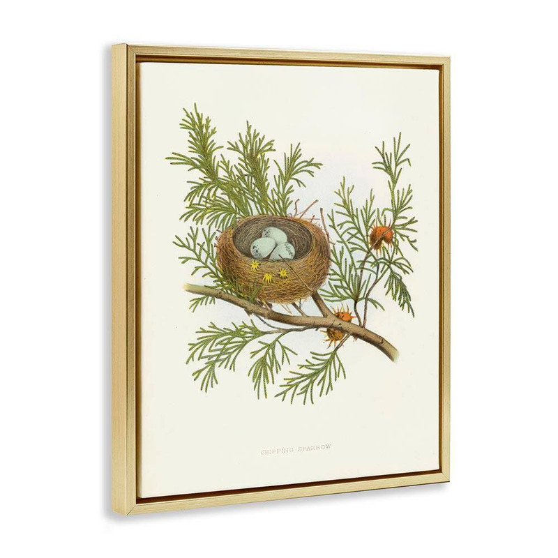 Forest Bird Nest on Branch by Tina Higgins Designs, Inc. Gold Floater Frame Natu gallery