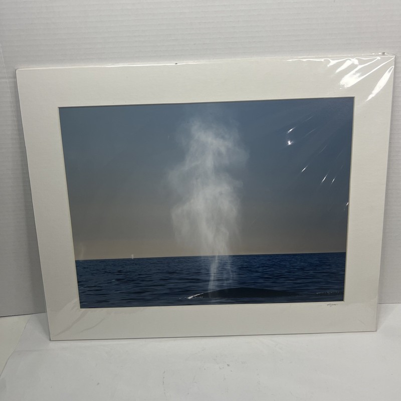 William Hogan Colored Seascape “12X16” Photo Of Whale Breathing Out W/ Matting