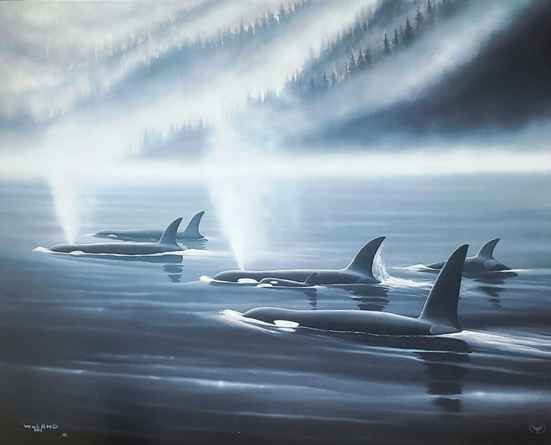 Wyland Orca Realm 1995 Nature cares for the soul Killer Whale Pod Poster signed