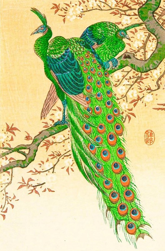 Peacock by Ohara Koson