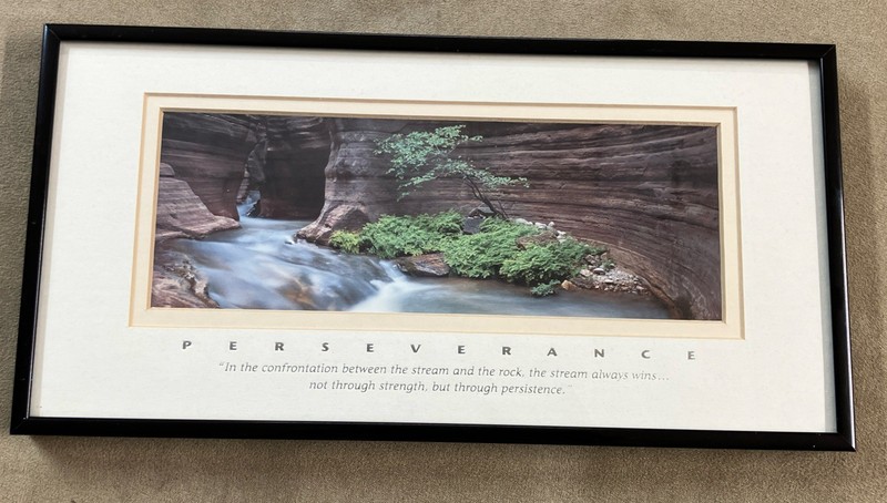 Vintage 1995 Lifescapes Lithograph Framed 12” X 6” ‘Perseverance’ Grand Canyon