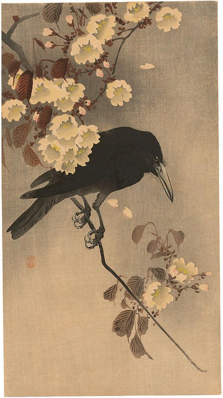 Ohara Koson Crow on a Cherry Branch 1910 17″x 22″ Archival Art Print