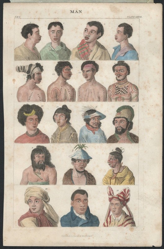 Man Hand Tinted Plate LXXVII: Oliver Goldsmith's A History of the Earth and Anim gallery