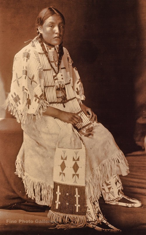 Vintage EDWARD CURTIS American Indian Sioux Girl Beads GOLDTONE Photo Art 11×14