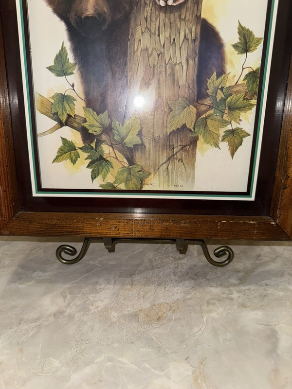 Vintage Shadow Box Framed Bear with squirrel Woodland Animal Art 12” x 15 1/4” gallery