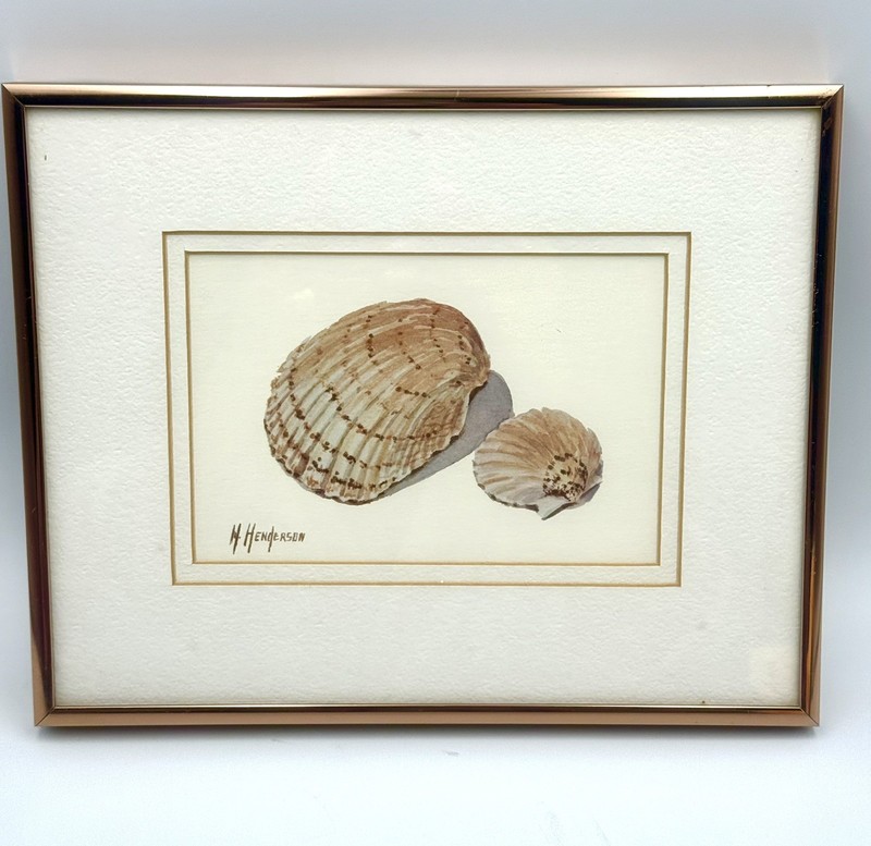 H. Henderson Lithograph Sea Shells Custom Framed 10”x8” Print Nautical Sea #1 gallery