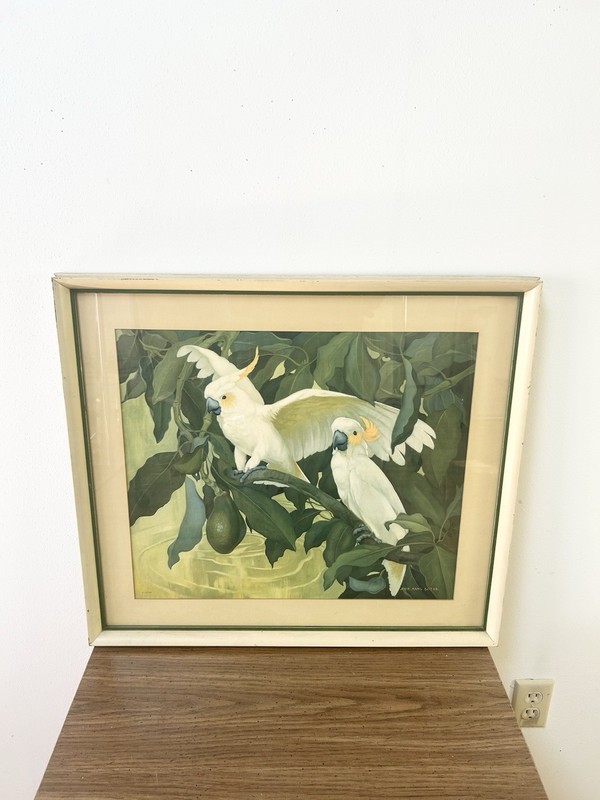 JESSIE ARMS BOTKE Vintage (50s) Cockatoos Avocado Lithograph.