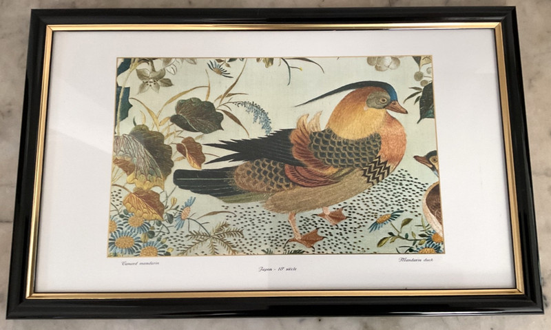 Mandarin Duck Framed Matted Print – Framed in Lucca Italy