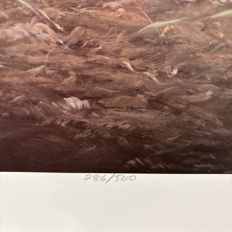 Ben W. Essenburg Limited Edition Signed Print “Bo” Great Blue Heron gallery