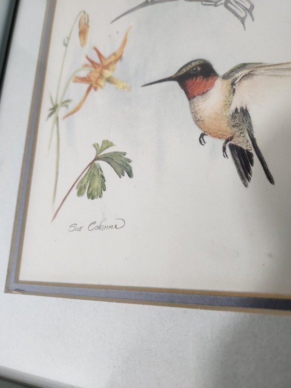Sue Coleman “The Hummingbird” / Dogwood & Hummingbird – Signed Print, NW Coast S gallery