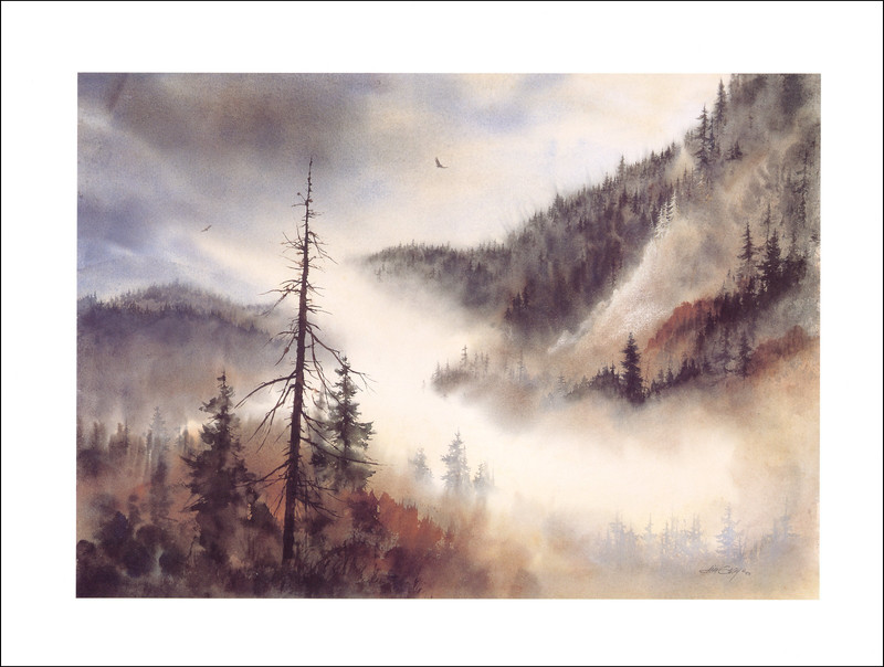 2000 Vintage Print Great Smoky Mountain Tennessee National Park Watercolor Image