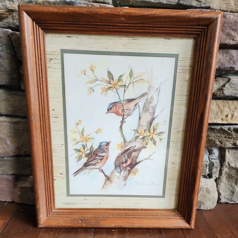 Vintage Print Of Birds On A Tree Branch Paul Whitney Hunter Framed