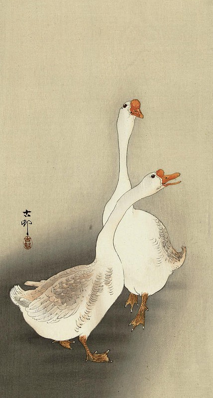 Ohara Koson Two White Geese 1877-1945 17″x 22″ Archival Art Print