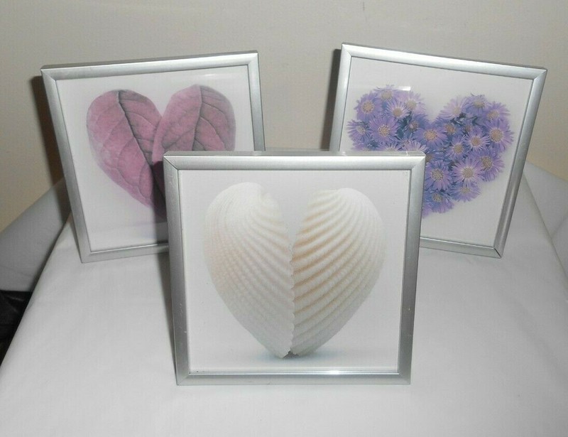 HEART of Leaves, of Shells, of Flowers 3 Small Prints 5.375″ Silver Metal Framed