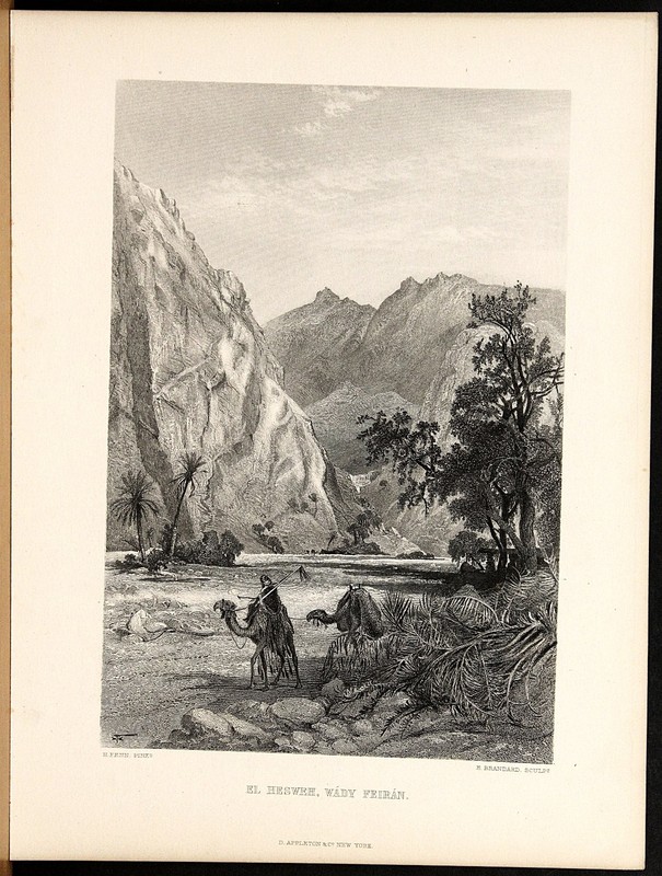 Harry Fenn El Hesweh Wady Feiran Steel Engraving 1883 Palestine Art Print