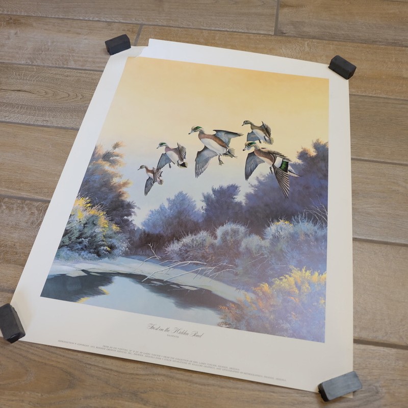 1972 Larry Toschik – Frost on the Hidden Pond – Print Poster Art 19″ x 24″