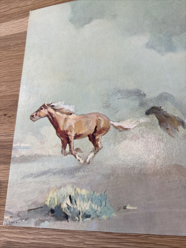 RARE! MCM Lithograph On Paper Board “The Mustangs” Rico Tomaso 24” X 12” Horses gallery
