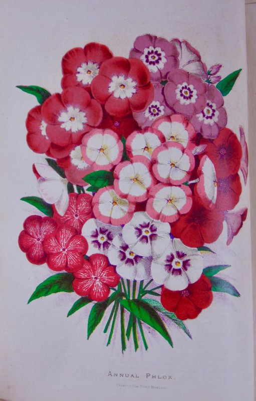 [CHROMOLITHOGRAPH] 20 Plates in Vick’s Illustrated Monthly Magazine, 1878-1890