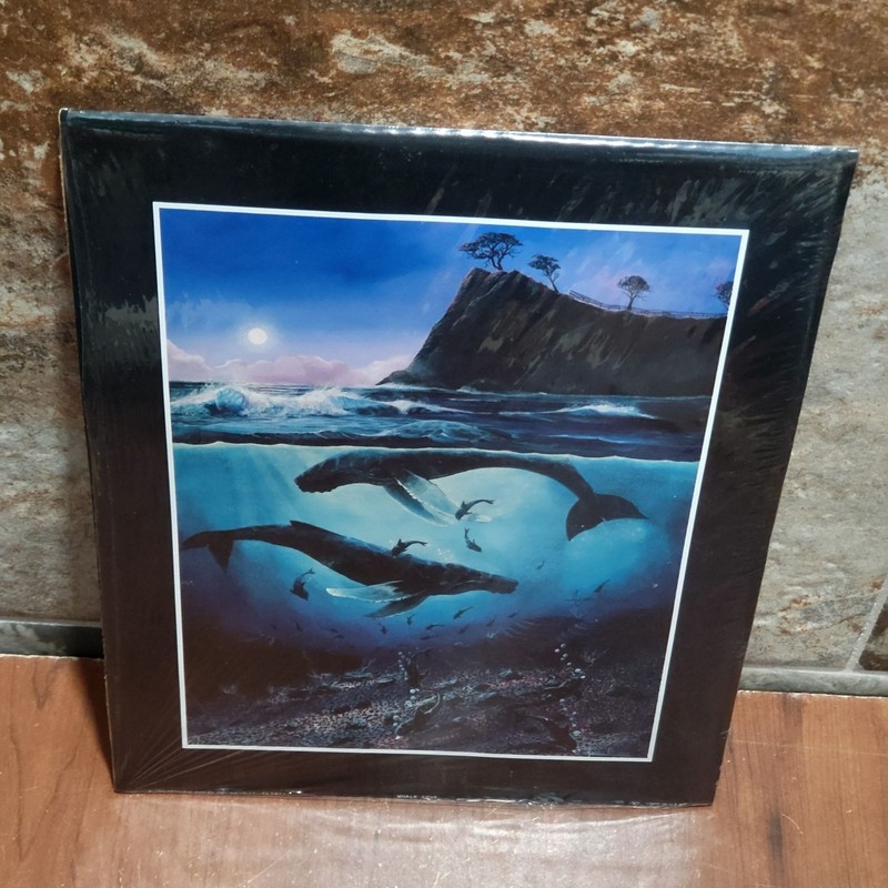Vintage Unframed Whale Cove Art Print 1993 Robert Lyn Nelson gallery