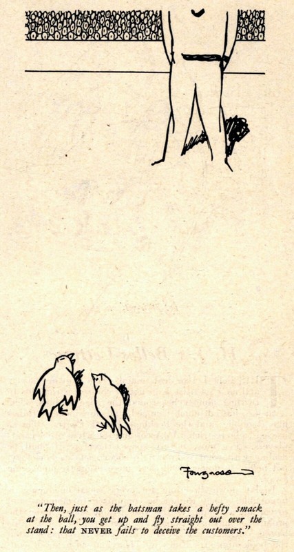 British 1946 Cartoon: BIRDS AT A CRICKET MATCH – Stealing Food Strategy – HUMOR