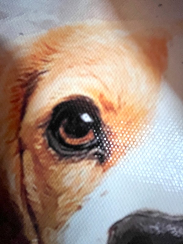 Beagle Dog Animal Watercolour Painting Print Unframed Canvas Wall Art 30 x 40cm gallery