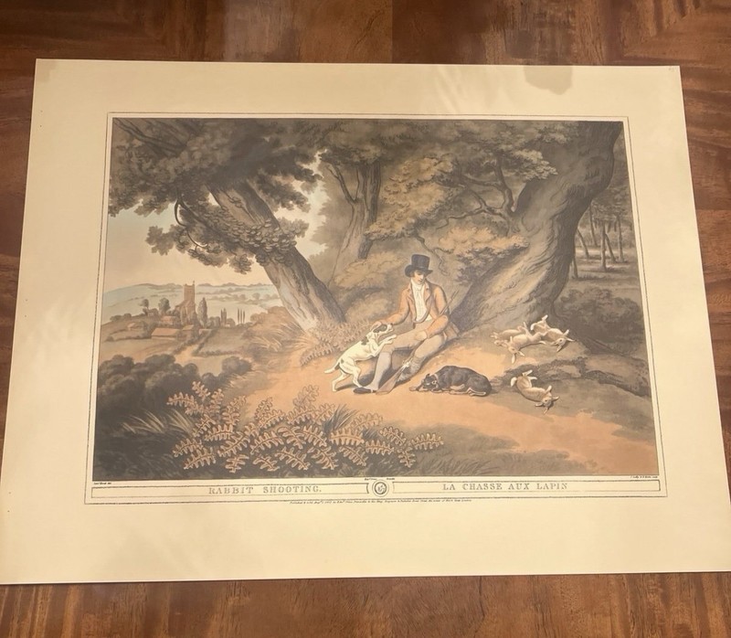 Rabbit Shooting- Giclee Print From British Field Sports