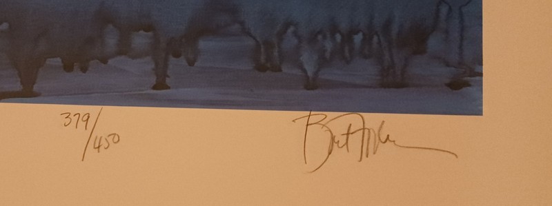 Humpback Whale by Bart Forbes - Signed/Numbered Print gallery