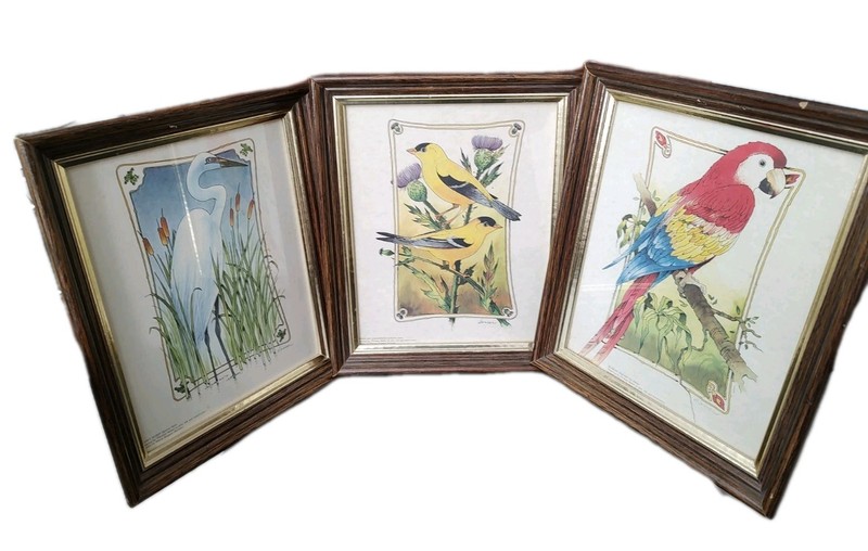 3 Thomas Sasser Bird Prints Georgia-Pacific Printing Vtg Framed 12 X 10 See Pics