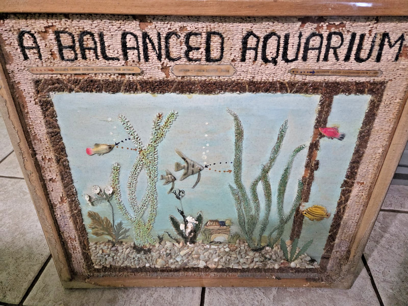 Vtg 22″ SEED/Stone/Gravel Balanced Aquarium Folk Art Science Project Framed 60s