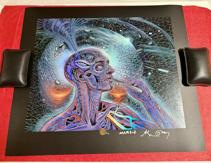 Alex Grey & Mars-1 “Bicycle Day” Limited Edition Textured Foil Paper Print X/419