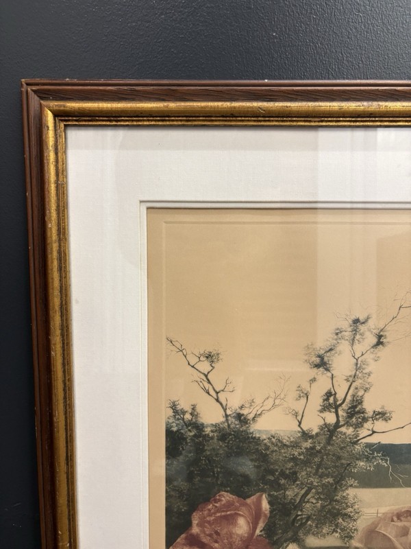 G.H. Rothe "Rosescape"Signed Color Mezzotint Art Print–Rare Artist's Proof 8/15 gallery