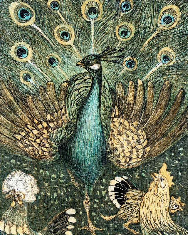 Peacock Illustration Vintage Reproduction Giclee Print on Fine Art Paper