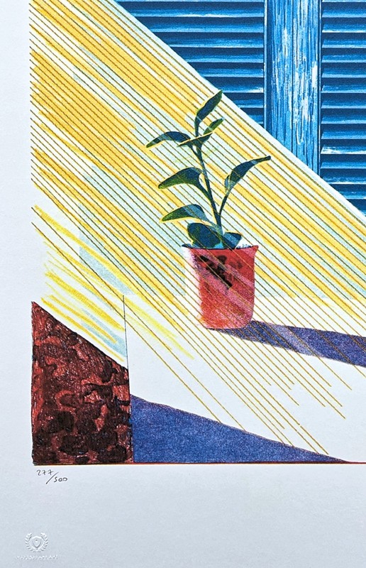 DAVID HOCKNEY - Sun ll - signed, numbered 11/500, 35x50 cm gallery