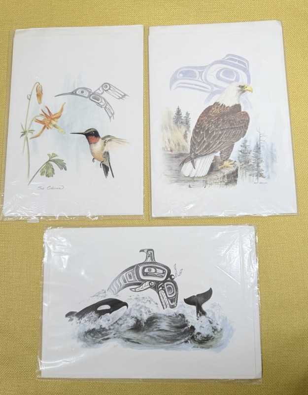 Sue Coleman 3 NW Coast Indian art prints ORCA EAGLE HUMMINGBIRD 6×9 Cards
