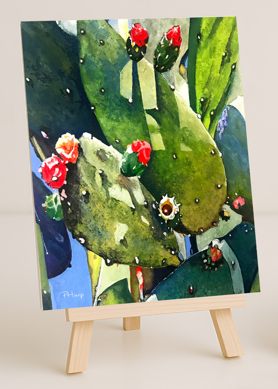 ACEO ORIGINAL PRINT Blooming Cactus Desert Flower – Art by PHarp Watercolors