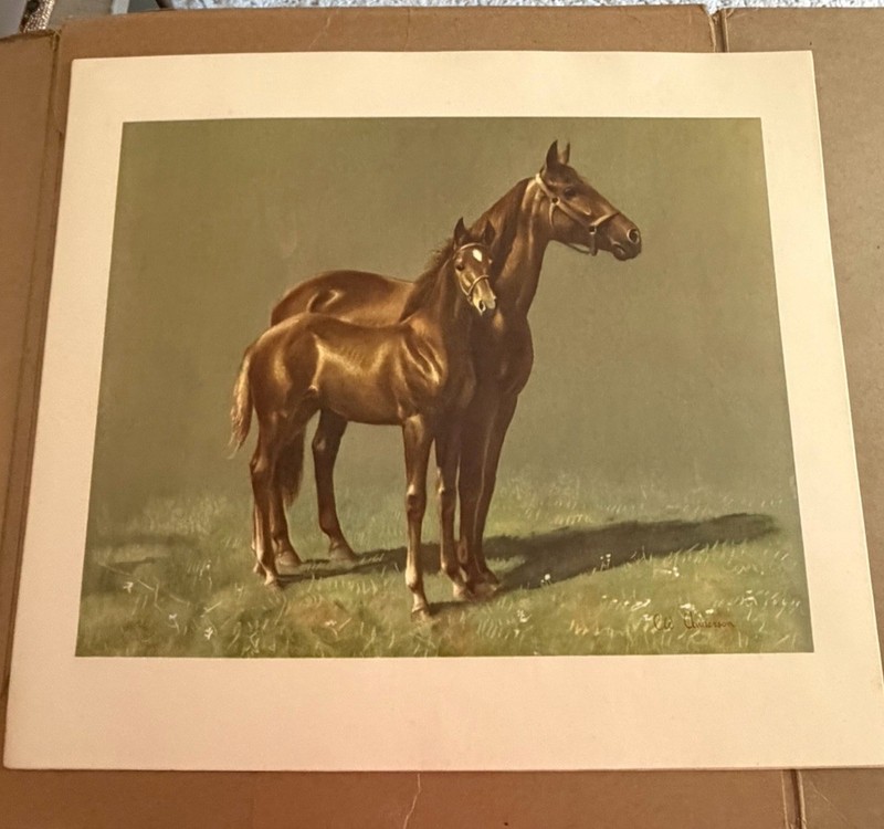Accent On Youth C. W. Anderson Complete Set of 1950's Vintage Horse Prints gallery