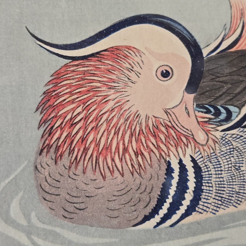 Mandarin Ducks In Snow Japanese Woodblock Print by Shoson (Koson) Ohara 20-5/8" gallery