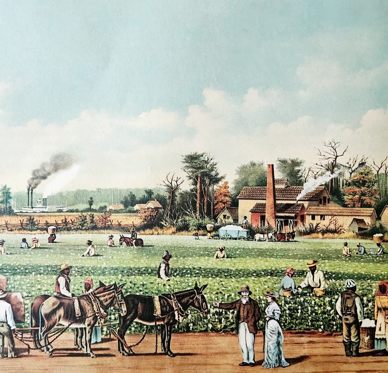 Cotton Plantation Mississippi Currier & Ives 1950s Lithograph Farming DWHH15