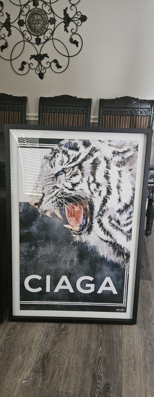 Oliver Gal Tiger Canvas Wall Art Black and White Floating Frame 27x35 gallery