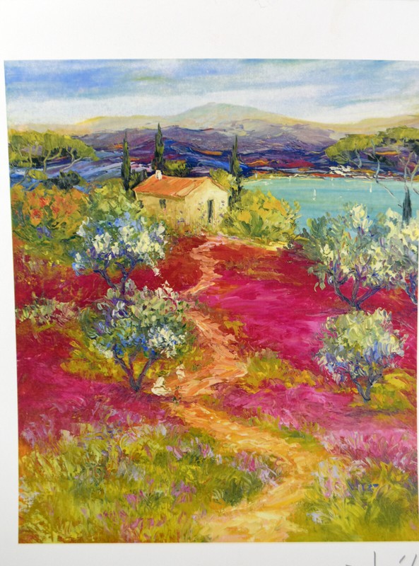 10" Seriolithograph 2015 Signed Print DUAIV Arrivee Au Lac French Landscape gallery