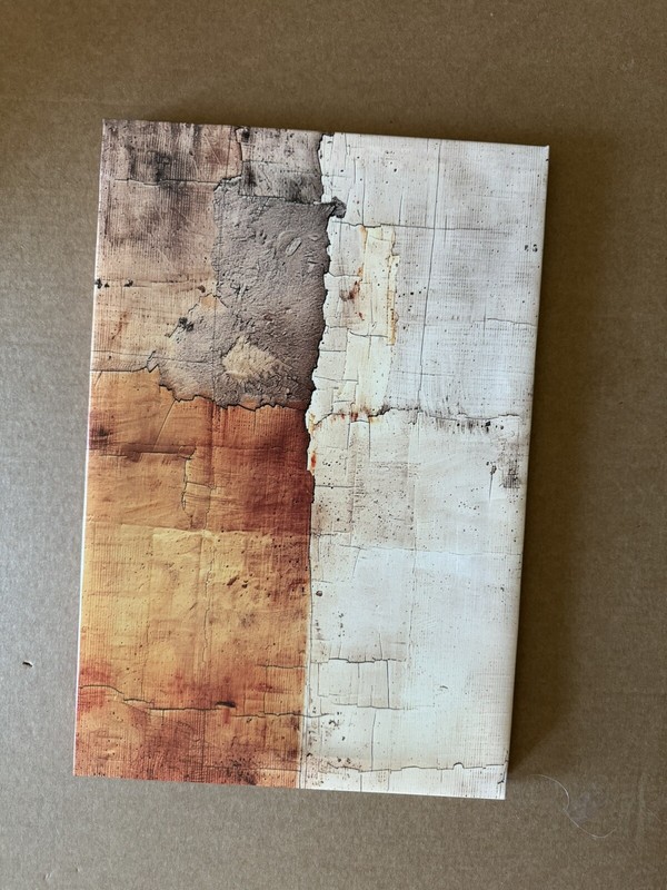 12 x 18 Bold Abstract print Ready To Hang NEW shipping included