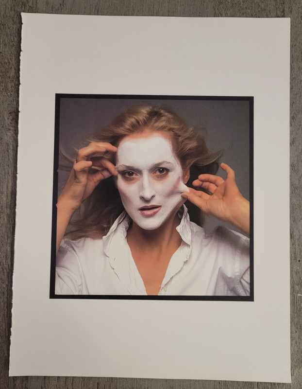 MERYL STREEP 8/1981 Rolling Stone Magazine Cover Photo by Annie Leibovitz Print