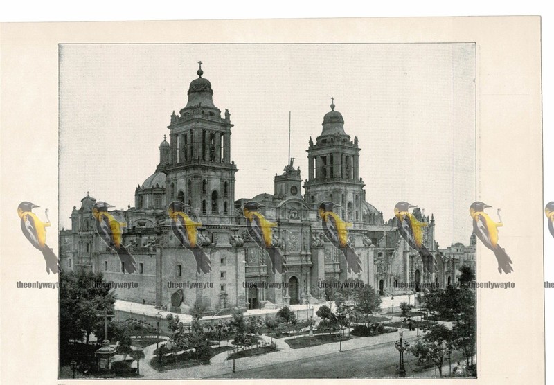 Cathedral, Mexico City, Mexico, Book Illustration (Print), 1899
