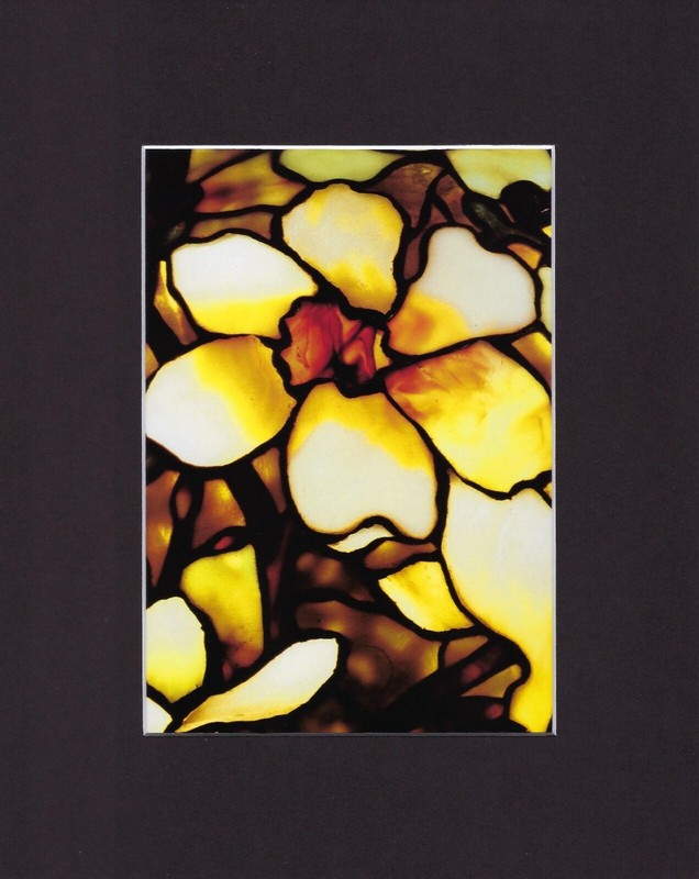 8X10 Matted Print Art Picture Louis Comfort Tiffany Stained Glass: Flowers