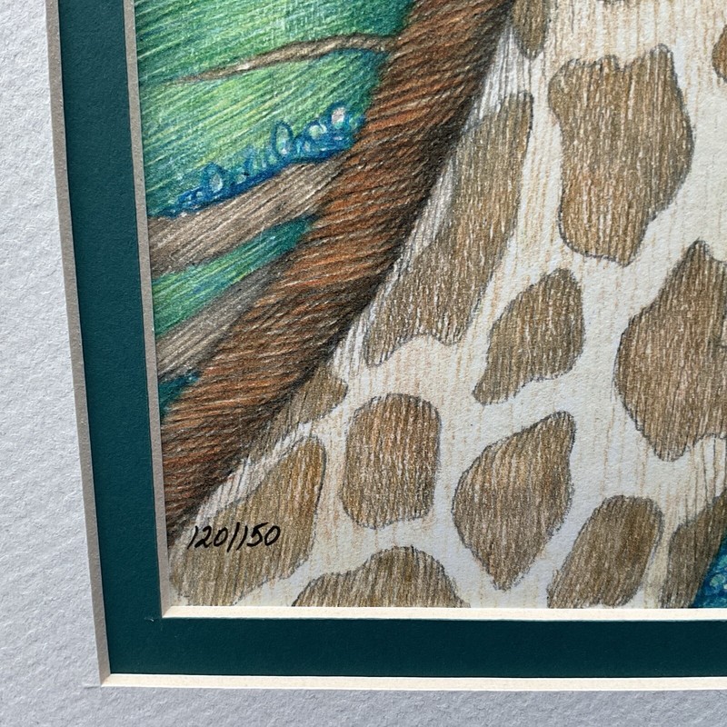 Kae Taylor GIRAFFE Art Print w/ 11"x14" Mat Signed & Numbered #120/150 gallery