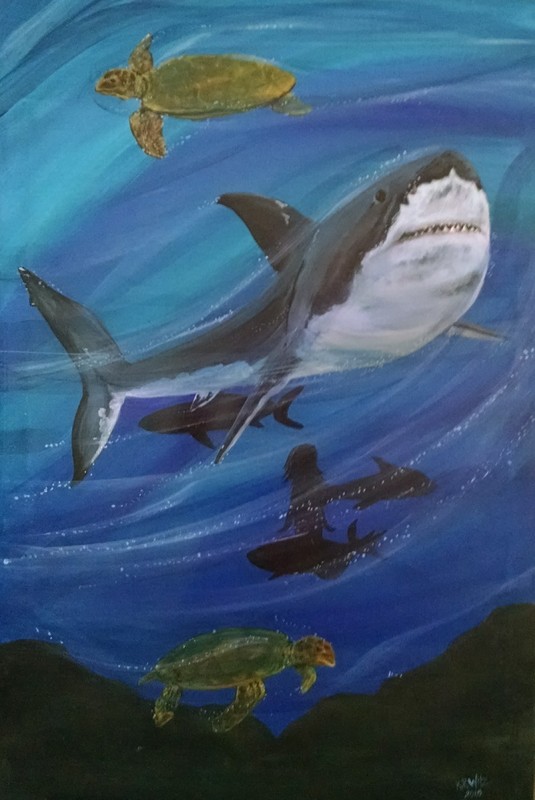 Great White Shark Art Print 8 1/2 x 11 Predator ocean Fish sea wildlife Jaws